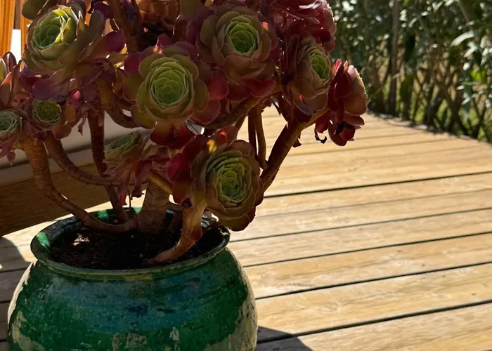 Window On Ramatuelle