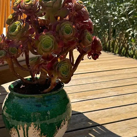 Window On Ramatuelle